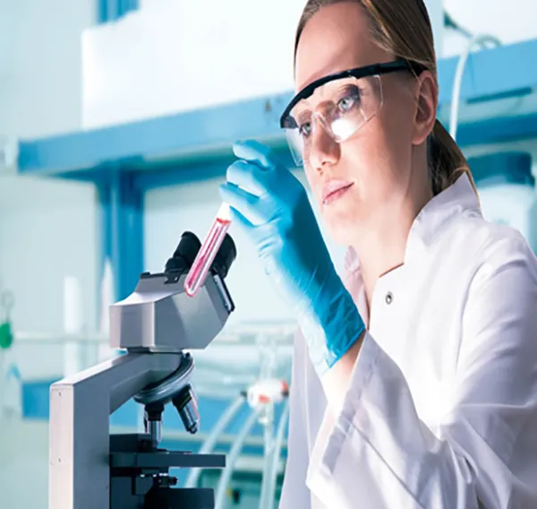 Research & Development
