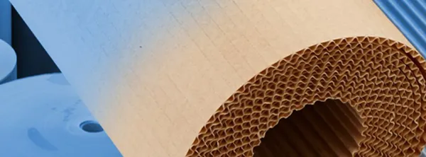 Corrugated Paper
