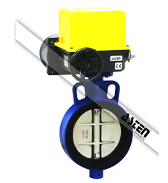 Butterfly Motorized Valve