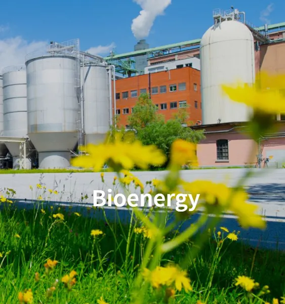 Bioenergy
