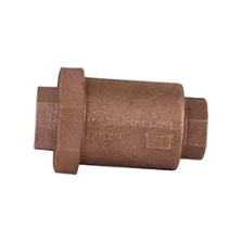 Check Valve