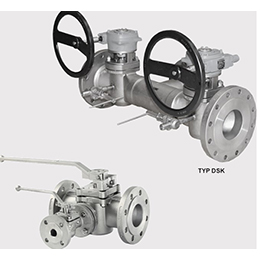 Plug valves with flushing device