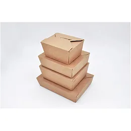 Disposable Food Packaging