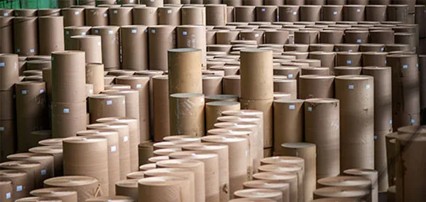 CARDBOARD