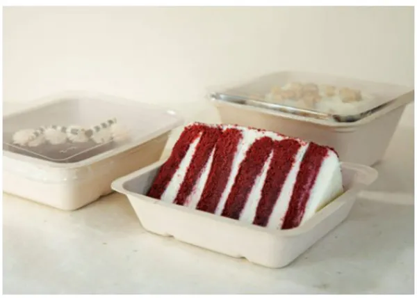 FOOD TRAYS