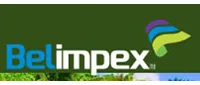 Belimpex Limited
