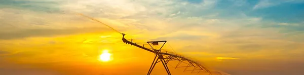 Irrigation & Agriculture