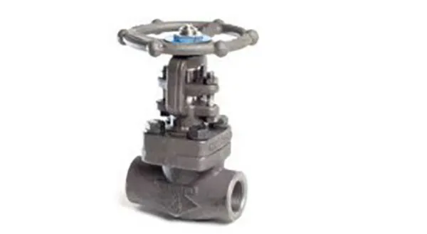 THRD Gate Valve A105 Trim 8