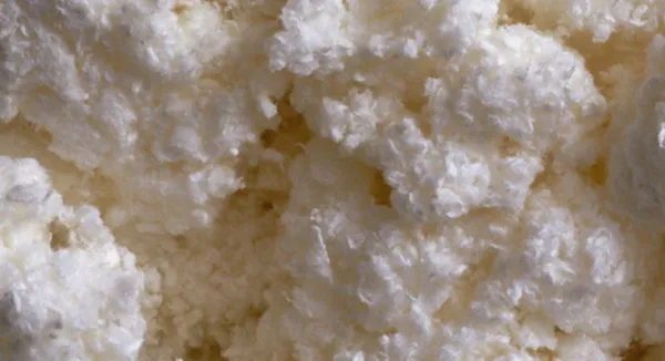 Pulp