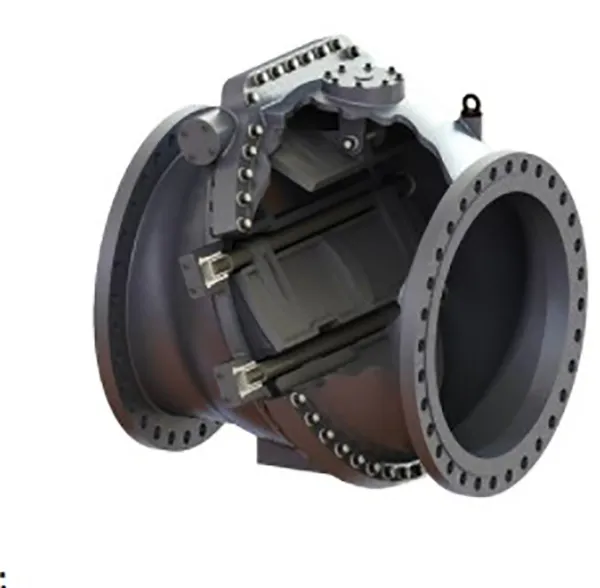 Check Valves