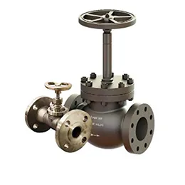 Globe Valves