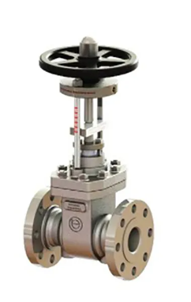 Parallel Slide Gate Valve