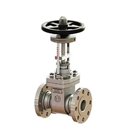 Parallel Slide Gate Valve