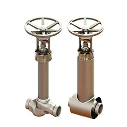 Vacuum Jacketed Valves
