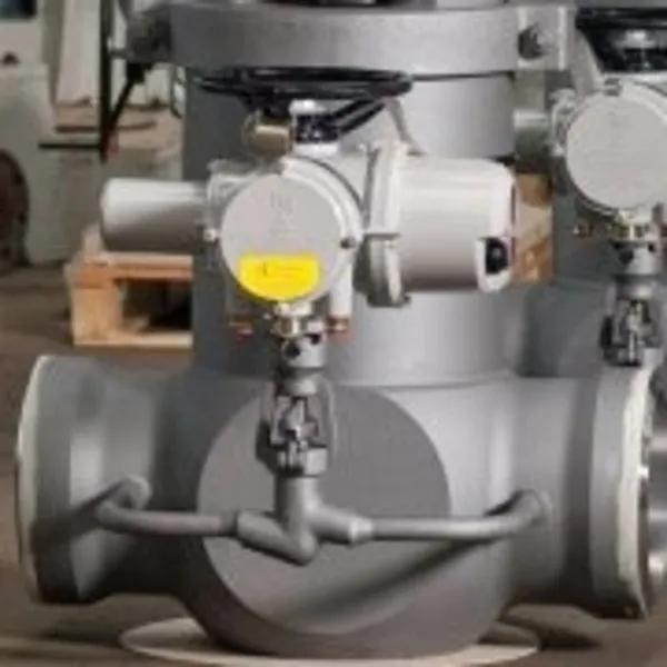 HP-Gate Valves