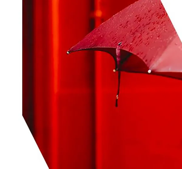 Risk & Fraud Management
