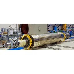 2 Pole Air Cooled Generators