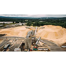 Bleached Softwood Kraft Pulp