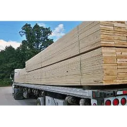 SOUTHERN YELLOW PINE