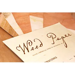 WOOD VENEER PAPER