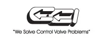 CCI Valve Technology AB