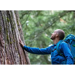Chain of Custody