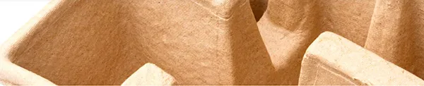 Paper Pulp Moulding