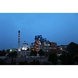 Biomass fired Boilers