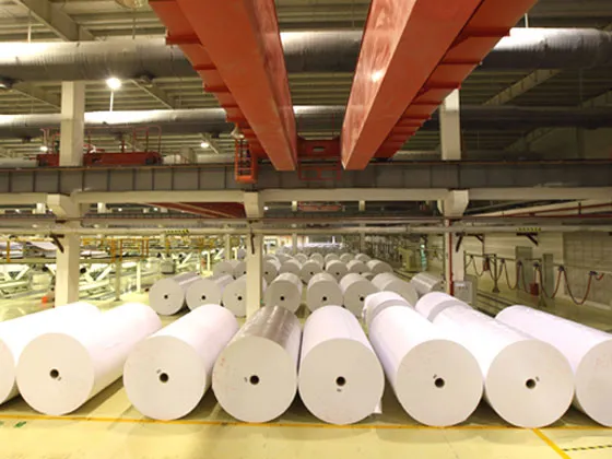 Copy paper series