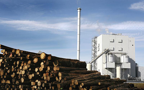Biomass Handling Systems