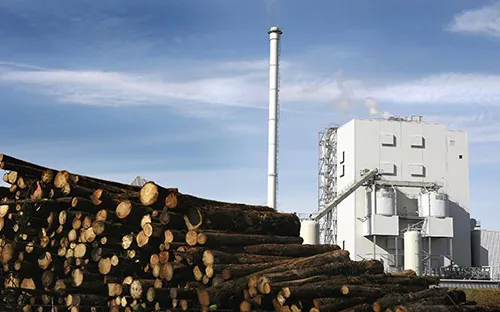 Biomass Handling Systems