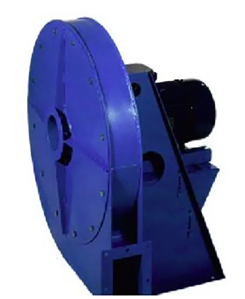 DP