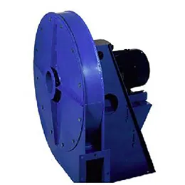 DP