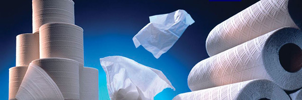 Tissue & Hygiene Papers