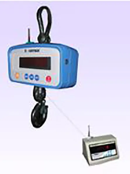 CRANE SCALES