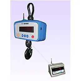 CRANE SCALES