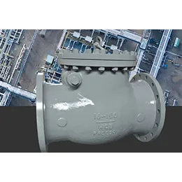 Check Valves