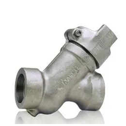 Check Valve