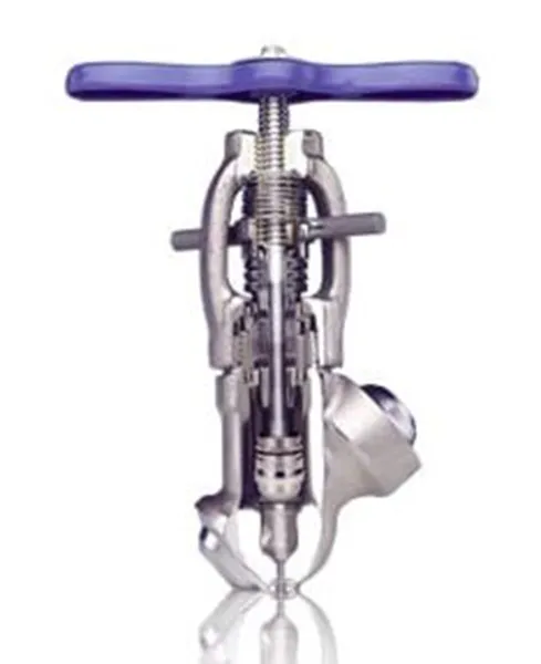 Globe Valve