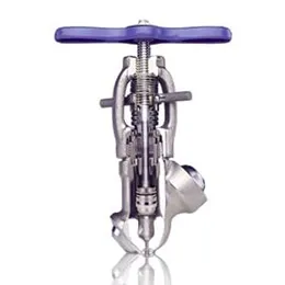 Globe Valve