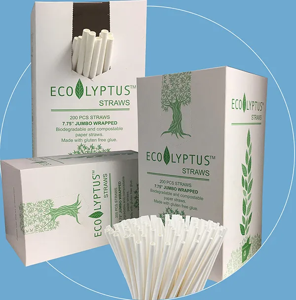 Paper Straws