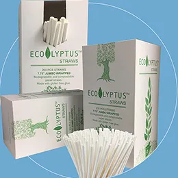 Paper Straws