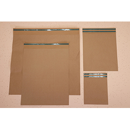 Paper envelopes standar