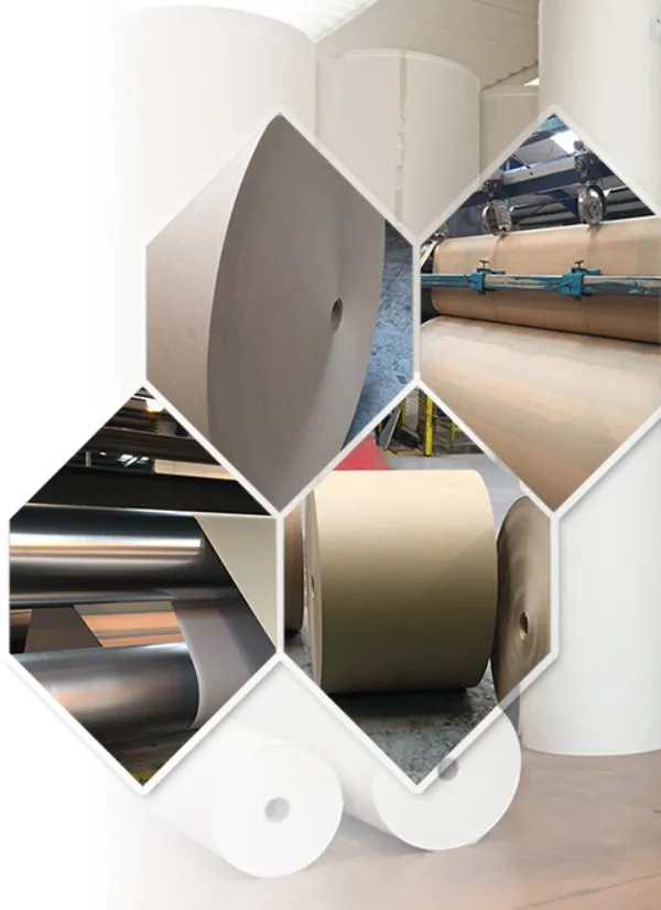 Paper Reels