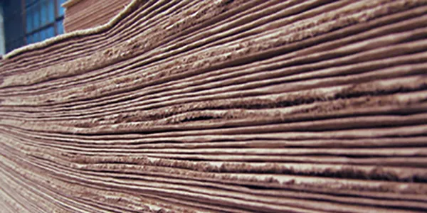 Unbleached Kraft Pulp