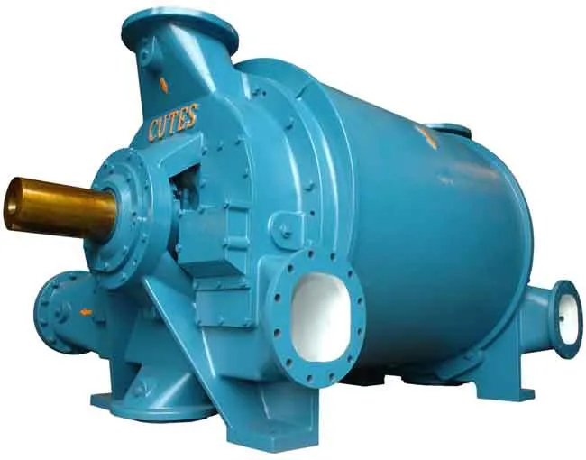CNN Series Vacuum Pumps