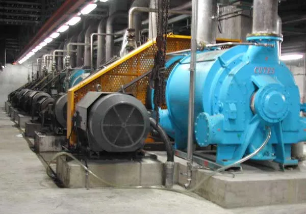 Roots Blower Vacuum Pumps