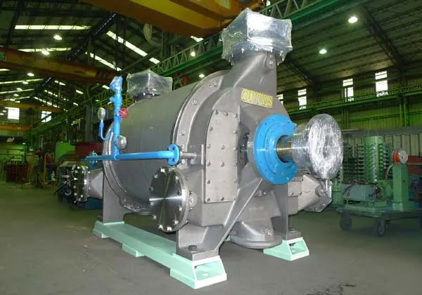CE1 Model Vacuum Pumps