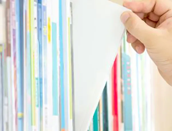 Publication Paper