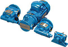 Rotary Trochoidal Gear Pump